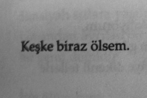 tumblr_n3inq2IOjX1trjiw8o1_500