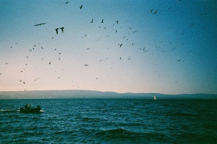 tumblr_static_filename_640_v2