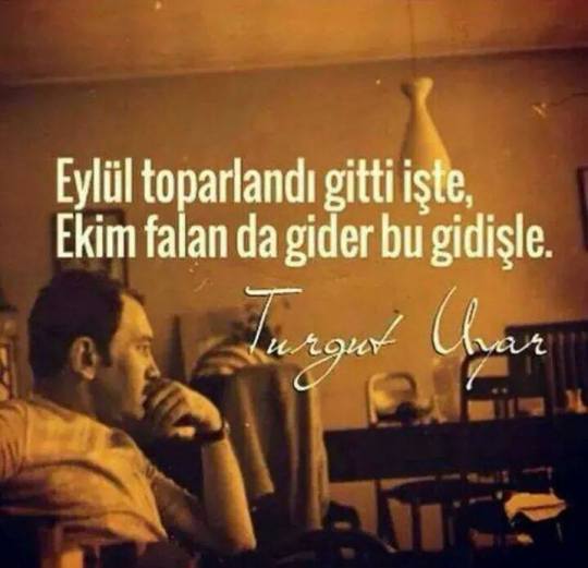 tumblr_ncxgjcZGFO1tulwhoo1_1280