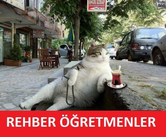 52f8abd1c5ca9b2181b3972eb2726ad2